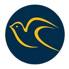 Travel N Xplore Logo